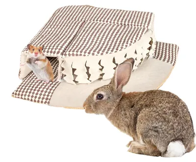 Produktbild von Kaninchenbett mit Spielröhre und Bürste