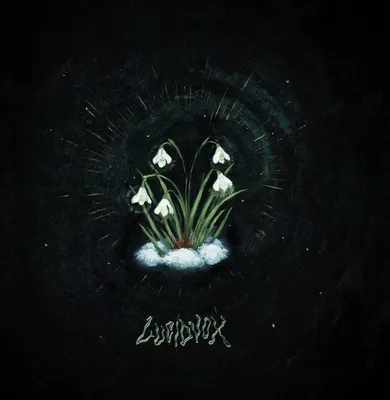 Obrázek produktu pro Lucidvox: Thats What Remained - - (LP / T)