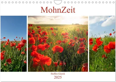 Produktbild von MohnZeit (Wandkalender 2025 DIN A4 quer), CALVENDO Monatskalender