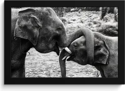 Produktbild von MuchoWow® MuchoWow® Gerahmtes Poster Elefant - Tiere - Natur - Schwarz und weiß 30x20 cm - Poster mit zchwarzem Bilderrahmen - Kunstdruck - Bild-Poster