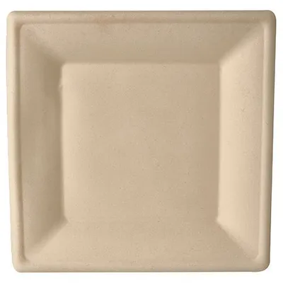 Produktbild von PAPSTAR Zuckerrohr-Teller "pure" eckig 260 x 260 mm 50 Stück