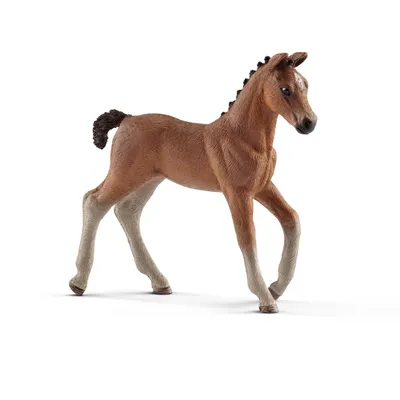 Produktbild von Schleich Hannoveraner Fohlen