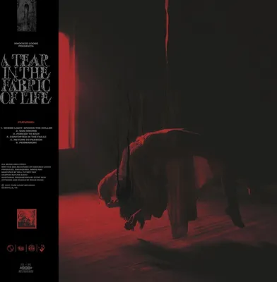 Produktbild von Knocked Loose: Tear In The Fabric of Life