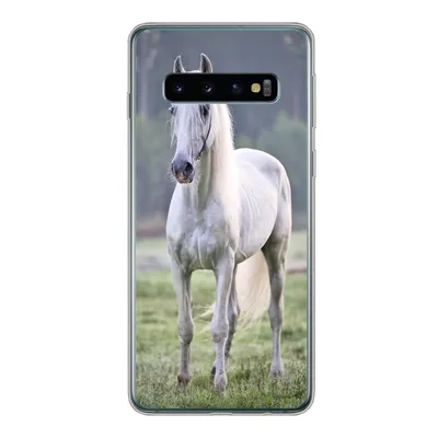 Produktbild von MuchoWow® Handyhülle Schutzhülle Hülle für Samsung Galaxy S10 Pferd - Licht - Morgen Silikon Softcase Handy Hülle - Handytasche