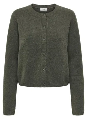 Produktbild von JDY JDYCHLOE Strickjacke