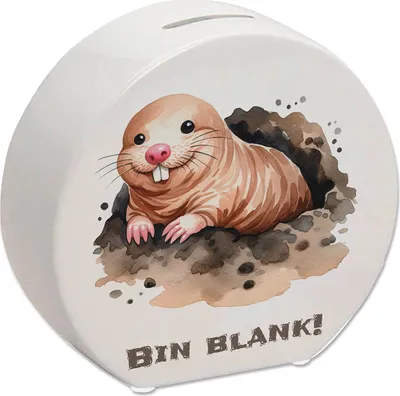 Produktbild von Nacktmull Spardose mit Spruch Bin blank!