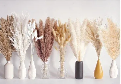 Immagine prodotto di 128 pezzi di erba della pampa essiccata, decorazioni da tavola in stile boho, code di cervo essiccate, erba della pampa marrone, erba della pampa bianca per matrimoni, decorazioni rustiche per feste