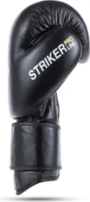Produktbild von Bushido Boxhandschuhe 12 OZ DBX Striker