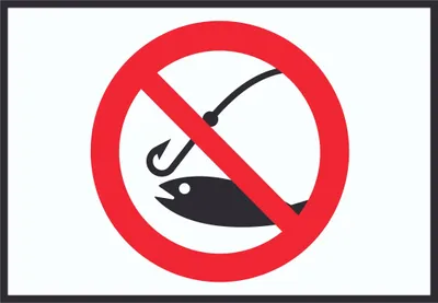 Produktbild von Angeln verboten Symbol Schild A6 (105x148mm)