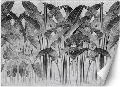 Produktbild von Vlies fototapete Bananenblätter schwarz und weiß 368x254 cm Feeby Grau inkl. Kleber einfache Montage