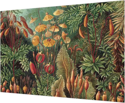 Zdjęcie produktu dla Tapeta ścienna – tapeta dekoracyjna do salonu – folia tapetowa do dekoracji ścian – 312 x 219 cm – Egzotyczny ogród