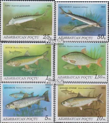 Produktbild von Briefmarken Aserbaidschan 1993 Mi 98-103 (kompl.Ausg.) postfrisch Fische