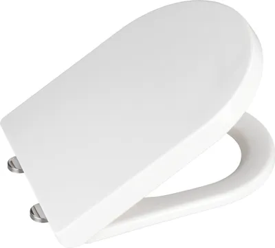 A white toilet seat is shown from a slightly elevated angle against a white background.
