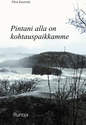 Produktbild von Pintani alla on kohtauspaikkamme