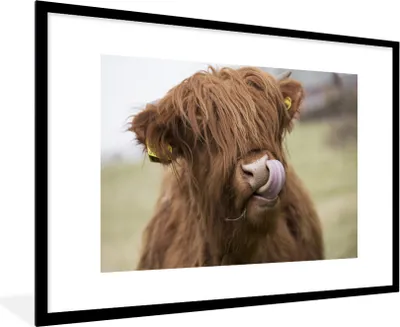 Produktbild von MuchoWow® Gerahmtes Poster Schottischer Highlander - Braun - Tiere 90x60 cm - Poster mit Schwarzem Bilderrahmen Wandposter Rahmen Foto Bilder - Wanddekoration - Fotos