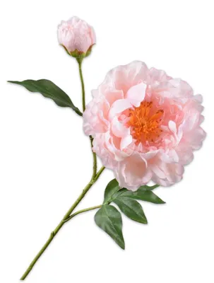 Produktbild von Silk-ka Künstliche Blume, Seidenblume, Pfingstrosenzweig, Rosa, 79 cm
