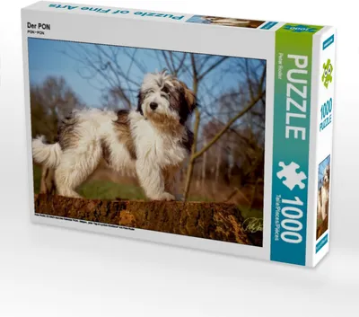Produktbild von Calvendo Der PON 1000 Teile Puzzle quer 640x480mm, Roder Peter; 7303319