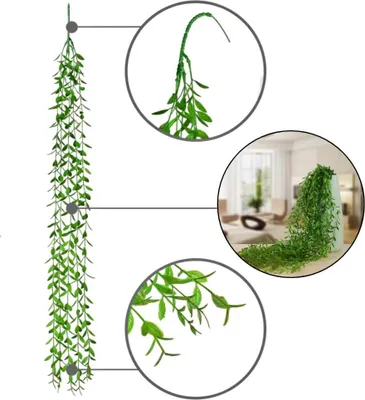 Produktbild von Girlande - Ruskus - hängend aus Ruskusblättern 100 cm