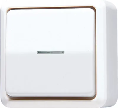 Produktbild von Jung 606KO5AWW Wipp-Kontrollschalter 10 AX 250 V