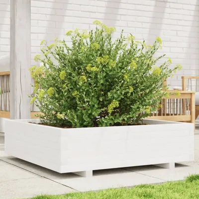Obrázek produktu pro Maison Exclusive - Květináč bílý 90x90x26,5 cm Masivní dřevo borovice