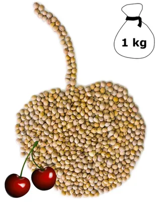 Produktbild von Kirschkerne lose für Wärmekissen Kirschkernkissen 1 kg Kissen Waermekissen Baby Füllung Körnerkissen Kerne Koernerkissen Füllmaterial Kirschkern DML