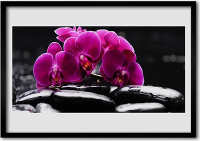 Produktbild von Bild 100x70 MDF-Rahmen Wandkunst Zen Steine ​​Orchid Spa