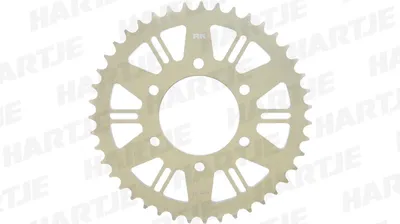 Immagine prodotto di Pignone RK "A4028" 520, alluminio 45 denti