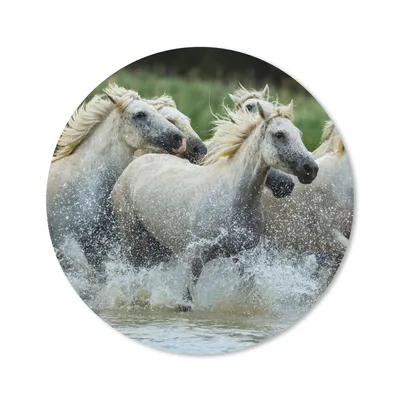 Produktbild von MuchoWow® Mauspad Mousepad Pferde - Wasser - Natur 40x40 cm - Mousepads - Maus Mat - Pad - Mausunterlage - Schreibtisch Accessoires