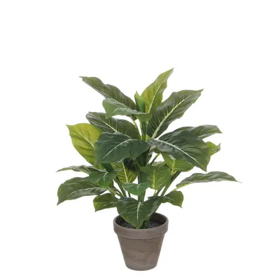 Produktbild von Kunstpflanze Evergreen Mica Decorations H 49 cm Ø 40 cm grün