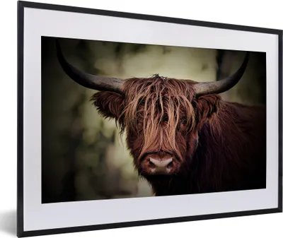Produktbild von MuchoWow® Gerahmtes Poster Schottischer Hochländer - Licht - Porträt - Natur 60x40 cm - Poster mit Schwarzem Bilderrahmen Wandposter Rahmen Foto Bilder - Schlafzimmer - Plakat in Rahmen - Drucken