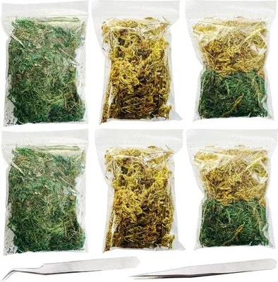 Zdjęcie produktu dla Zestaw sztucznego mchu zielonego do roślin – 6 opakowań