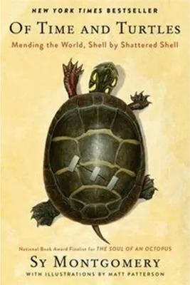 Produktbild von Of Time and Turtles