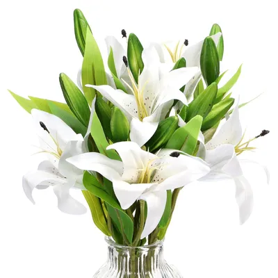 Image de Ensemble de 6 fleurs de lys artificielles blanches – Fleurs artificielles en soie, réalistes, pour la décoration