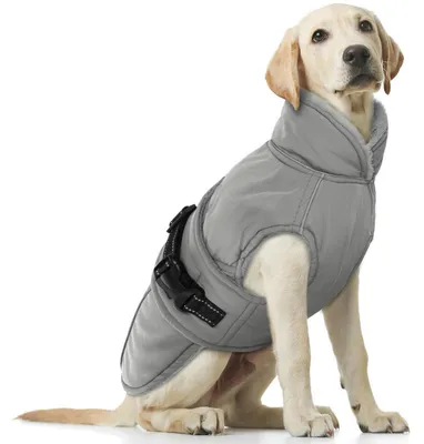 Immagine prodotto di Cappotto per cani, inverno, impermeabile, in pile, colore grigio