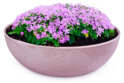 Produktbild von Pflanzschale für draussen Dekoschale rund alt-rosa marmoriert 20 cm