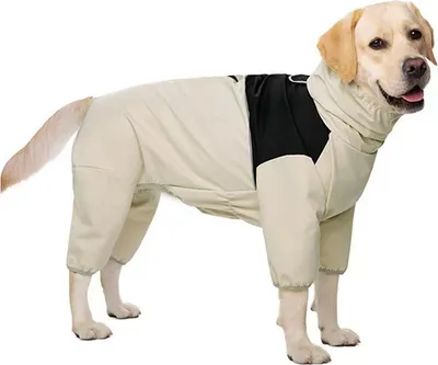 Produktbild von INF Wasserdichter Hunde Regenmantel 8XL