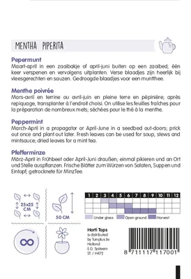 Produktbild von Pfefferminze | Minzesamen von Hortitops