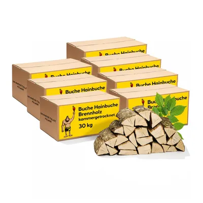 Produktbild von Neandertaler Feuer Brennholz Buche Kaminholz - Buchenholz Grillholz 25 cm 210 kg | Hartholz Feuerholz | Holz für Grill Kamin Smoker Ofen | Firewood