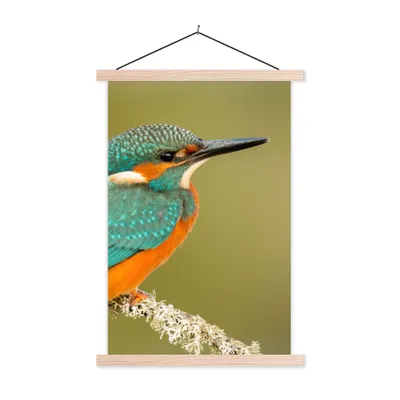 Produktbild von MuchoWow® Textilposter Eisvogel - Tiere - Vogel 60x90 cm mit holzfarbenen Rahmen - Textil