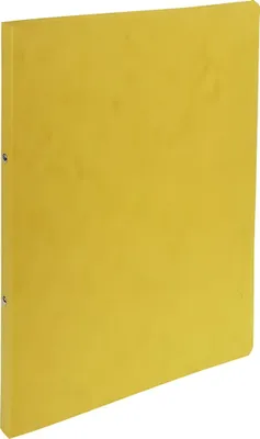 Produktbild von EXACOMPTA Ringbuch Verwendung für Papierformat: DIN A4 Werkstoff: Manilakarton