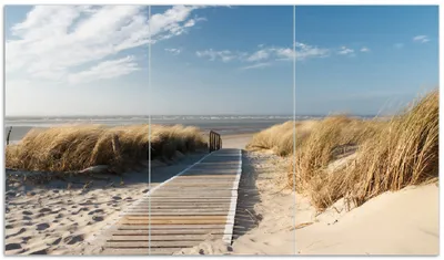 Produktbild von Wallario Herdabdeckplatte aus Glas, Größe 90 x 52 cm 3-teilig, Motiv Auf dem Holzweg zum Strand