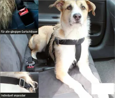 Produktbild von Hunde Sicherheitsgurt 60-75cm Anschnallgurt Verbindungsgurt Auto Sicherheitsgurt