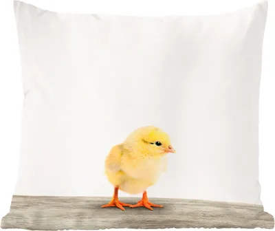 Produktbild von MuchoWow® Zierkissen Sofakissen Wohnzimmer Dekokissen 50x50 cm Küken - Tiere - Jungen - Mädchen - Kinder - Komfort - Sofakissen