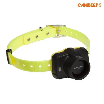 Image de Collier CANIBEEP 5 Soundtracking