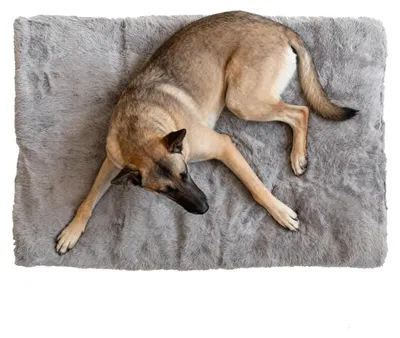 Image de Panier doux pour chien, offrant repos et confort, avec fond antidérapant