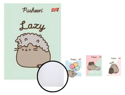 Produktbild von Notizbuch A5 32k Scheck Pusheen Majewski