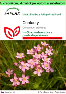 Obrázok produktu pre SAFLAX Garden to go - Centaury - Centaurium erythraea - 250 Semená - S črepníkom, klimatickým vekom a pestovateľským substrátom
