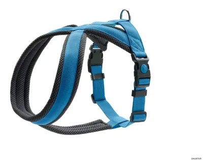 Produktbild von HUNTER Geschirr London Comfort M-L, hellblau
