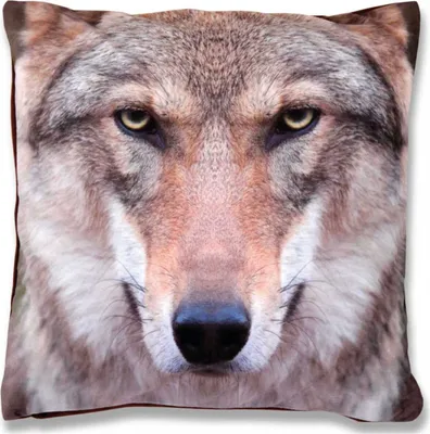 Produktbild von Kissenhülle 2er Pack Fotodruck ca. 40 x 40cm Wolf