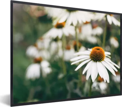 Produktbild von MuchoWow® Gerahmtes Poster Blumen - Herbst - Botanisch 80x60 cm - Poster mit Schwarzem Bilderrahmen Wandposter Rahmen Foto Bilder - Schwarzem - Mit Gestell